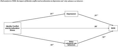 Examining the relationship between non-suicidal self-injury and mental health among female Arab minority students: the role of identity conflict and acculturation stress